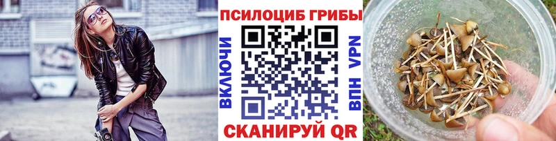 Псилоцибиновые грибы мухоморы  Купить где  Нефтеюганск 